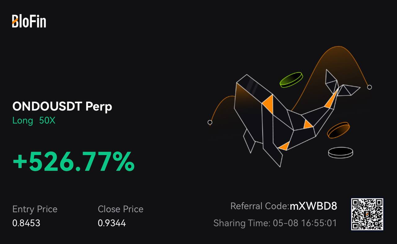 Profit 31
